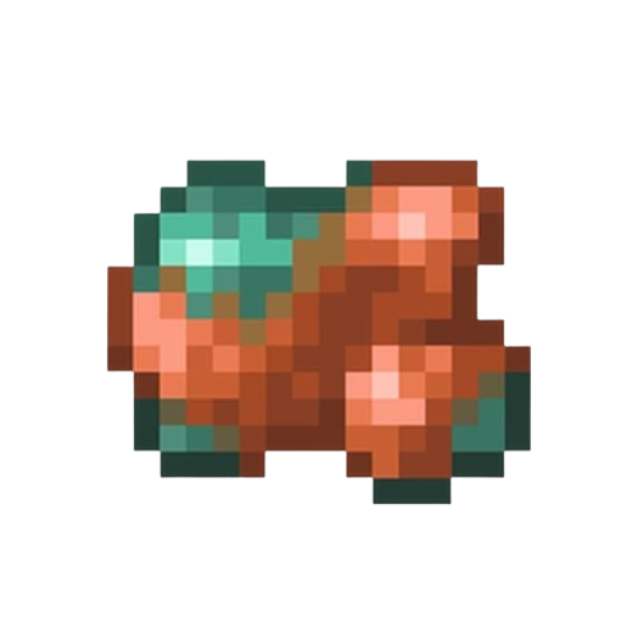 BNX-01-JAVA